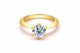 Zethech Round Moissanite Ring with polished band design