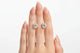 Zethech Oval Moissanite Stud Earrings with 18K gold plated finish